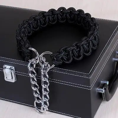 Luxury Leather & Stainless Steal Collar for Medium to Large Dogs