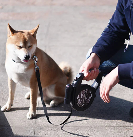 Retractable Leash with High Intensity Flashlight for Night-time Walkers