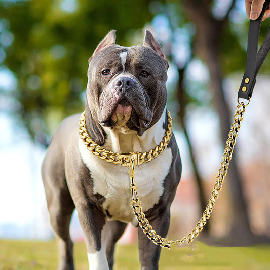 19mm Golden Stainless Steel Titanium Dog Leash